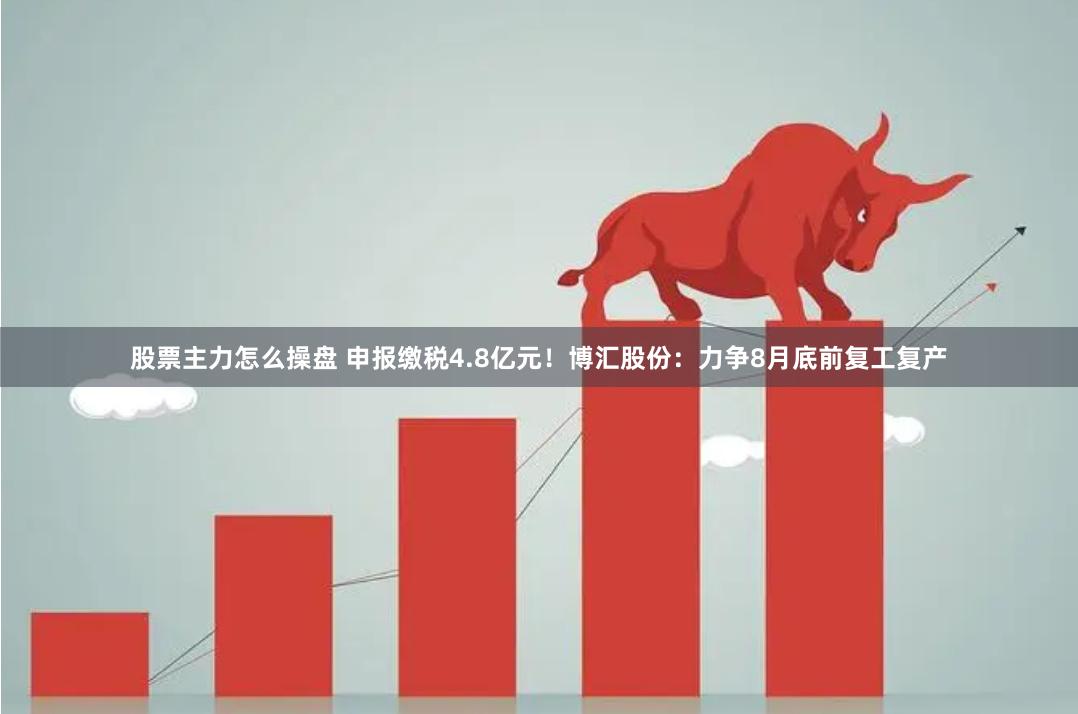 股票主力怎么操盘 申报缴税4.8亿元！博汇股份：力争8月底前复工复产