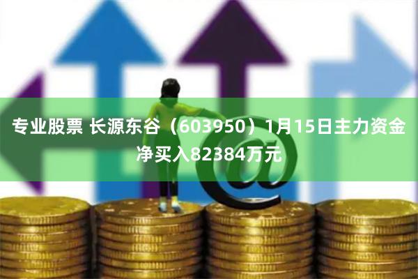 专业股票 长源东谷（603950）1月15日主力资金净买入82384万元