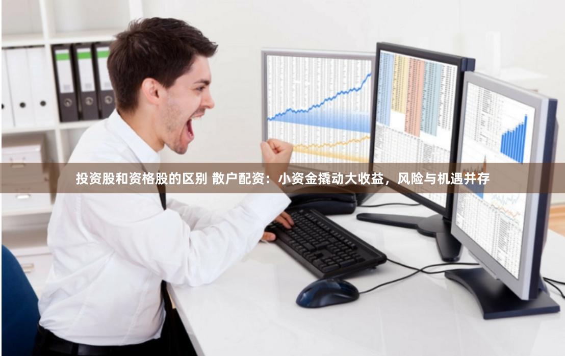 投资股和资格股的区别 散户配资：小资金撬动大收益，风险与机遇并存